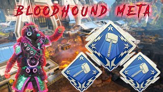 Pushing back to Platinum with Bloodhound Movement | Apex Legends