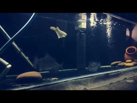 how to built a top filter