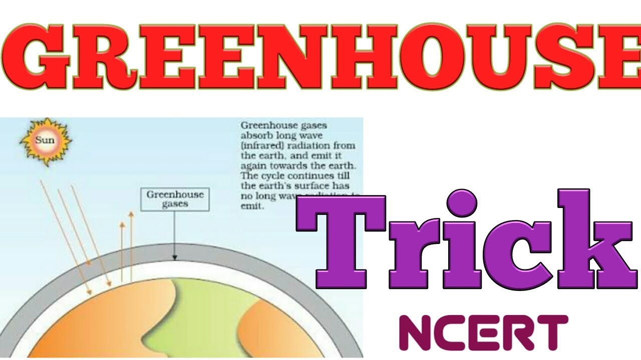 Greenhouse_effect_hindiglobal warming and greenhouse effectNCERT biology for NEETTGTPGTSEO