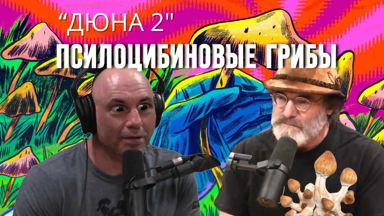 Псилоцибиновые грибы и Дюна 2 | Джо Роган и Пол Стеметс