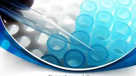 Testing PowerPoint Template by PoweredTemplate.com