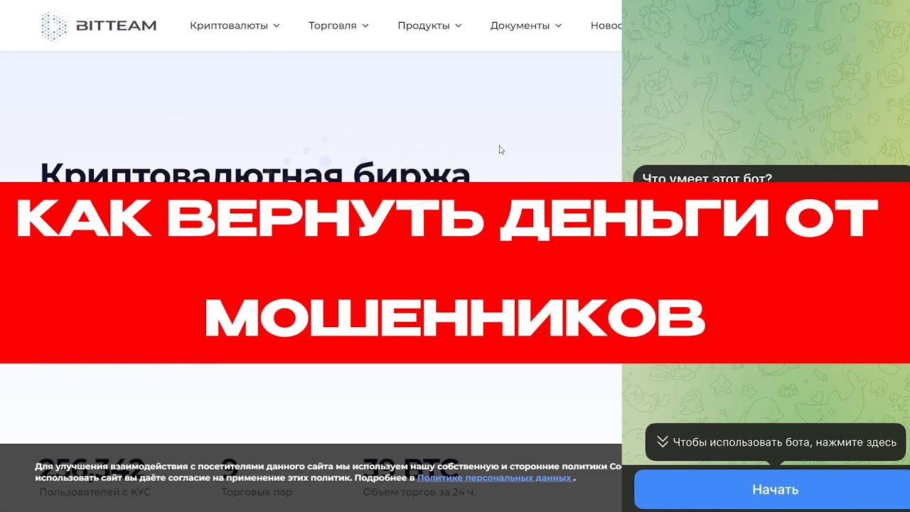 BIT TEAM (BIT.TEAM) ОБЗОР И ОТЗЫВЫ 2024. БИРЖА МОШЕННИКОВ?