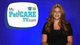 dailypetnews 20100722