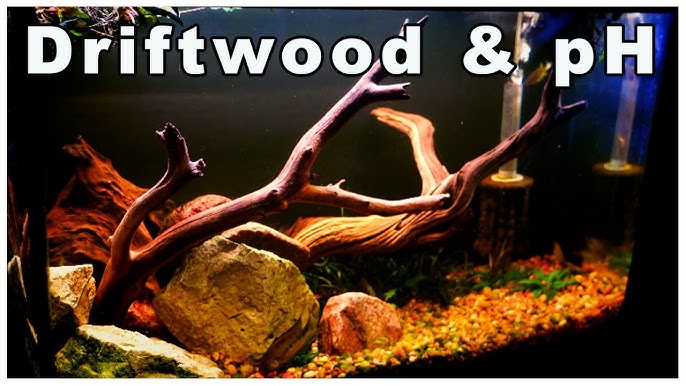 How to lower pH in a aquarium? Peat, driftwood, almond leaves RO water. 