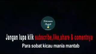 KAPAS TEMBAK GACOR NEMBAK NGEROLL DAHSYAT DURASI PANJANG COCOK UNTUK MASTERAN BURUNG LOMBA