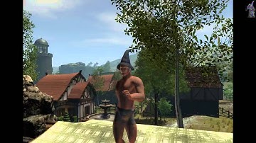 Shroud of the Avatar - Video Test