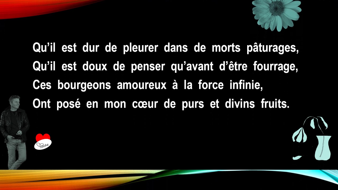 Les fleurs du mâle - YouTube