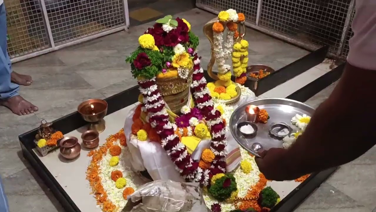 संध्या आरती श्री अमृतेश्वर महादेव 12/01/2026