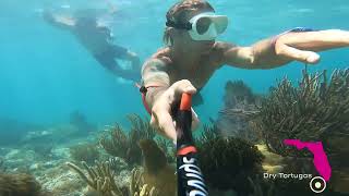 Discover Adventure in Florida in 60 Seconds