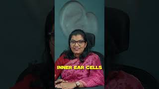 Celebrity Can Loud Music Really Cause Permanent Hearing Loss? Wealth