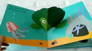 Pops For Tots - Ocean (Packed with Pop-Up Surprises!)