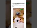 Temperature Display Automatic Soap Dispenser 🤖