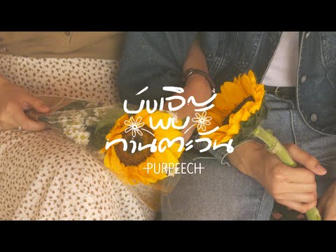บังเอิญพบทานตะวัน(.png) - PURPEECH | Unofficial Shot Mv
