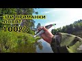 Ловля Судака | Рыбалка на Судака на реке Свислочь