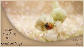 Color Matching with Gradient Maps in Affinity Photo