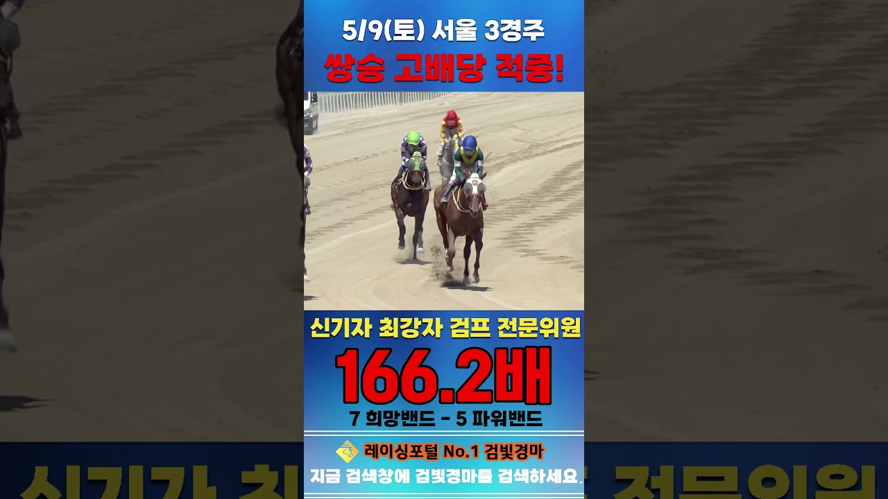 [서울 경마] 5월 9일 토요 3경주 신기자 최강자 검프 전문위원 쌍승 고배당 적중 #경마 #automobile #한국마사회 #horse #하이라이트 #korean #비트코인#게임