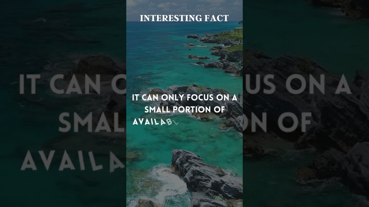 "The Selective Lens: Exploring the Brain's Focus on Information"