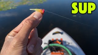 Fishing For WHATEVER BITES From My Inflatable Paddle Board