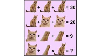 Only for genius animal lovers..How many cats and dogs are in the picture? by Animals Lovers 120 views 6 years ago 2 minutes, 1 second