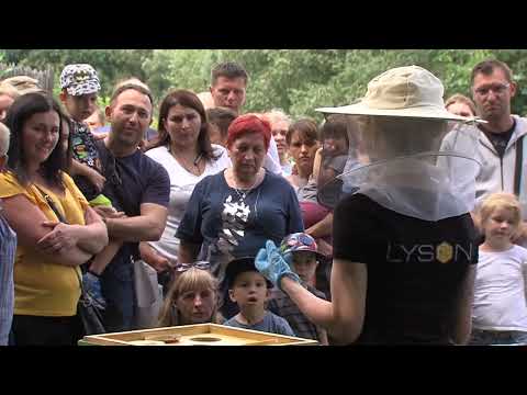 7 sierpnia - Wielkopolski Dzień Pszczół
