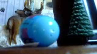 My Easter Egg Hunt 2015