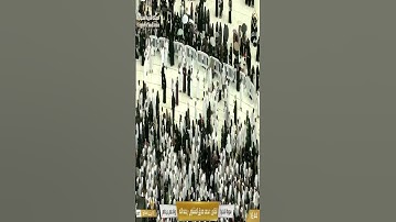 ما تيسر من سورة طه القارئ الشيخ ماهر المعيقلي