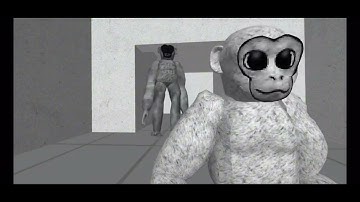 Gus first met the player in lethal ape