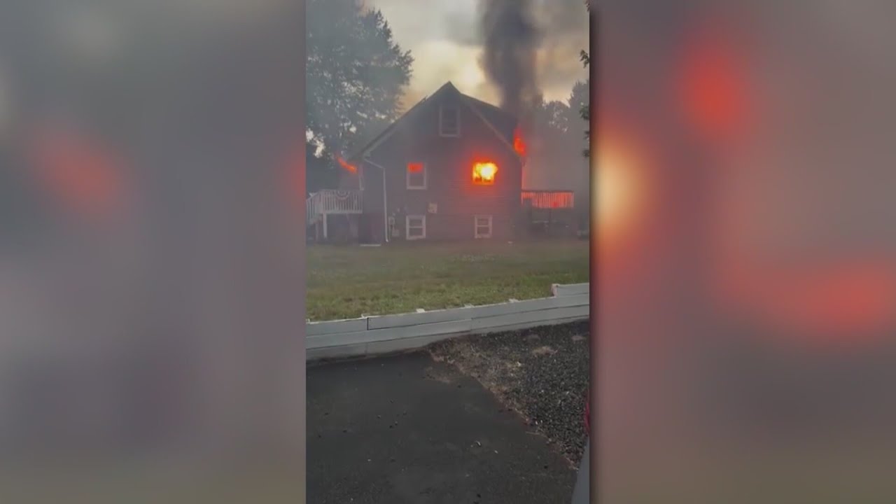 Pets killed in Enfield house fire started by dog jumping on stovetop