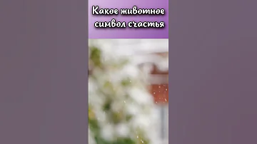 Какое животное символ счастья?#shorts