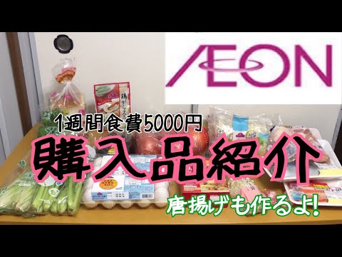 【イオン】【購入品紹介】1週間食費5000円 / 鶏胸肉でしっとり唐揚げが簡単に出来る！