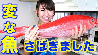 お魚ちゃん お魚さばく動画 Youtube