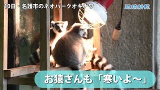 お猿さんも 寒いよ Youtube お猿さんも 寒いよ Youtube