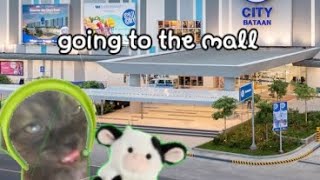 going to the mall! (cat memes)