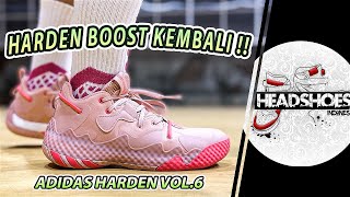 adidas Harden Vol.6 Performance Review | English Subtitles