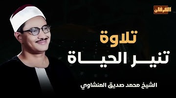 تلاوة النور و البركة | تلاوة تهديك للصواب و تنير الحياه | الشيخ محمد صديق المنشاوي