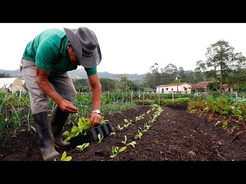 Video: ¿Cuál de los siguientes no es utilizado por los agricultores orgánicos?