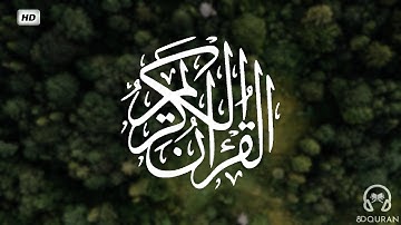 قرآن كريم بصوت ياسر الدوسري | حالات واتس اب دينية - سورة الزمر
