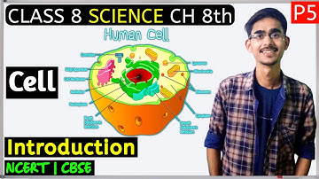 CLASS 8 SCIENCE CHAPTER 8 - CELL STRUCTURE AND FUNCTIONS
