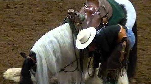 Gypsy Stallion "I'm the lions share" Frankie