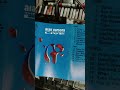 Now Play : Eye In The Sky.  #walkman #sonywalkman #audio #pop #cassette #vintage #live #shorts #80s