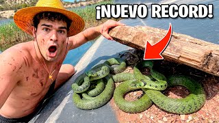 ¡Encuentro CULEBRAS de COLLAR en BALSAS ABANDONADAS! Acabé Superando mi RECORD…