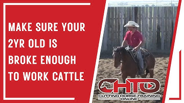 Make Sure Your 2yr Old Is Broke Enough To Work Cattle