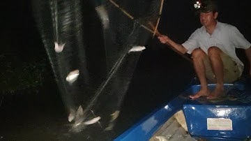 Bão cá P3: Kiệt sức, đuối tay cả đêm chiến đấu với bầy cá gần nữa Tạ | Săn bắt SÓC TRĂNG |