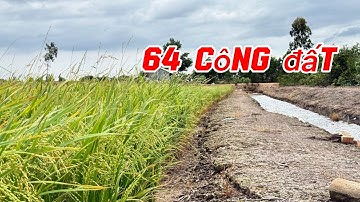 Cần bán- 64 Công Đất Siêu Đẹp có 900m2 đất thổ cư