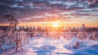 Winter Wonderland at Sunset with Beautiful Relaxing Music | Snow Relaxation Film
