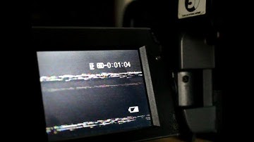 Hate-Gerbils - Arboreal Squid - Official Video