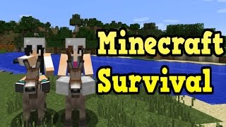 Minecraft Survival  TADINHO DO BURRITO #02