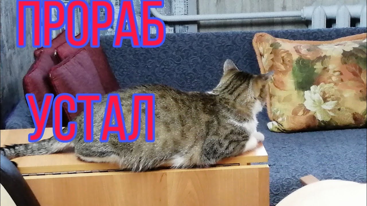 Почему бардачок называется бардачком