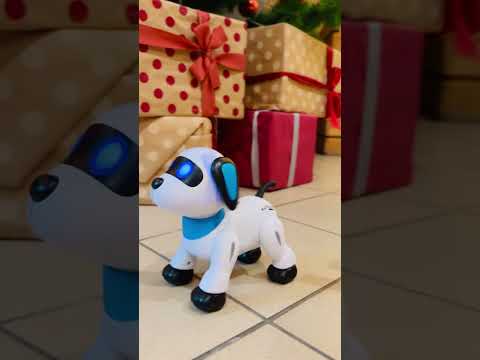 Дитяча інтерактивна іграшка робот-пес, іграшка на радіокеруванні, розумна собака робот на пульті, видео 1