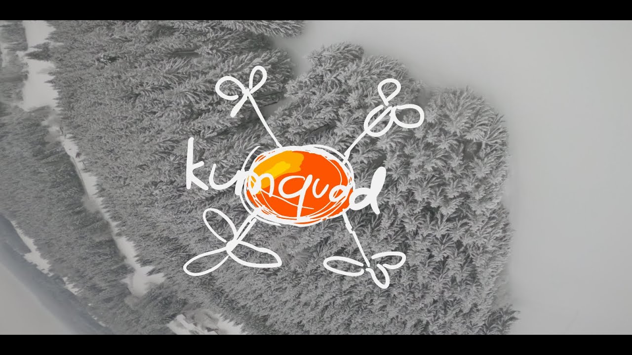 Black Forest - Supernatural Winter Wonderland | Schwarzwald - Winter Wunderland | FPV Drone Edit